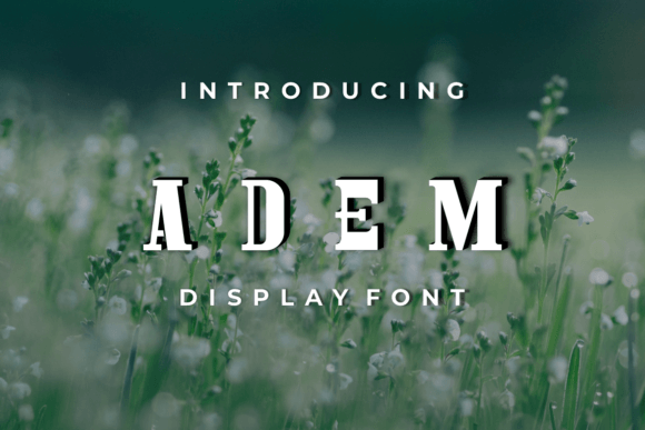 Adem: A Modern Serif Display Font for Bold Branding Projects