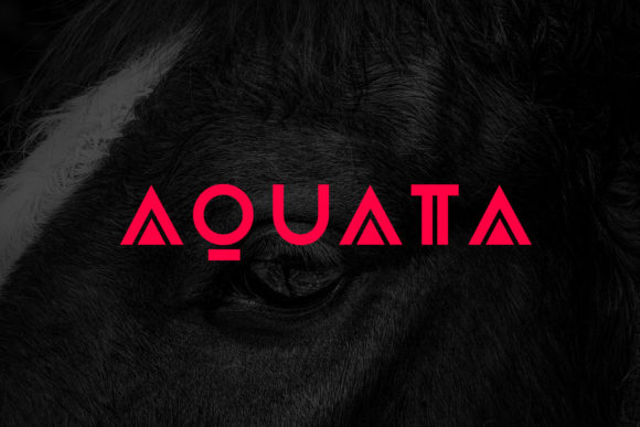 Aquata Sans Serif Font for Handmade Creations