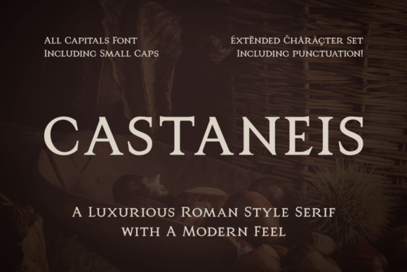 Castaneis: A Designer's Review of a Premium Serif for Real Work