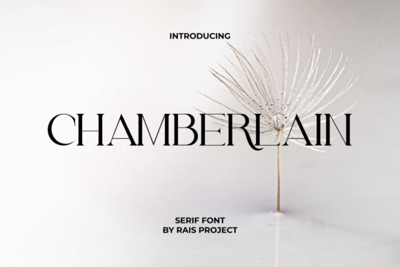 Chamberlain Font Review: A Minimalist Serif for Modern Branding