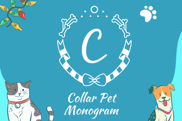 Collar Pet Monogram: The Creative Font for Scroll-Stopping Campaigns