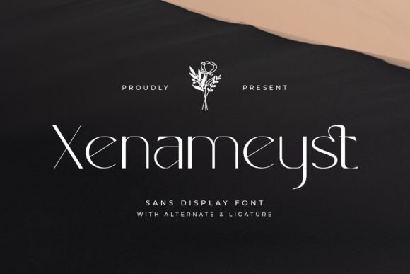 Xenameyst: The Modern Sans Serif Typeface for Campaign Designers